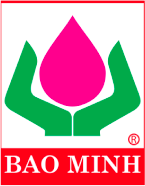 bao-viet